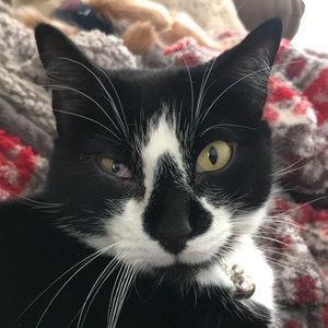 Meet your Posher, Cori